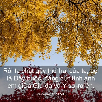 Picture 03 - Xê-ca-ri-a 11:14 VIE - Rồi ta chặt gậy thứ hai của ta, gọi - Bible Verse Picture