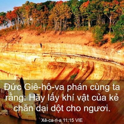 Picture 03 - Xê-ca-ri-a 11:15 VIE - Đức Giê-hô-va phán cùng ta rằng: Hãy - Bible Verse Picture