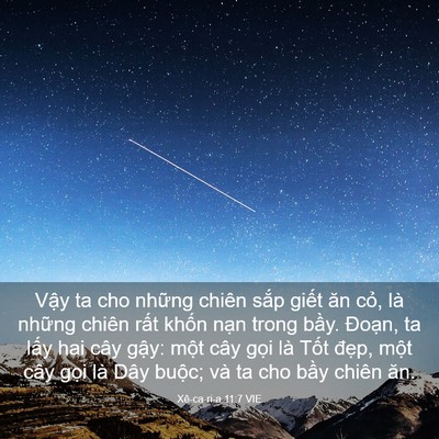Picture 03 - Xê-ca-ri-a 11:7 VIE - Vậy ta cho những chiên sắp giết ăn - Bible Verse Picture