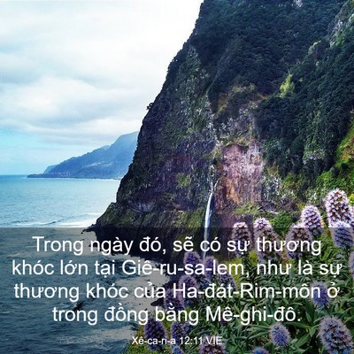 Picture 03 - Xê-ca-ri-a 12:11 VIE - Trong ngày đó, sẽ có sự thương khóc - Bible Verse Picture