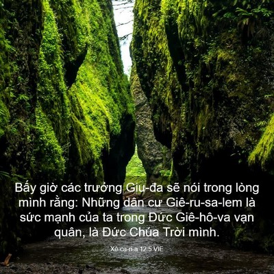 Picture 03 - Xê-ca-ri-a 12:5 VIE - Bấy giờ các trưởng Giu-đa sẽ nói - Bible Verse Picture