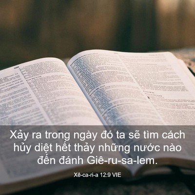 Picture 03 - Xê-ca-ri-a 12:9 VIE - Xảy ra trong ngày đó ta sẽ tìm cách - Bible Verse Picture