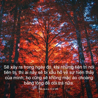 Picture 03 - Xê-ca-ri-a 13:4 VIE - Sẽ xảy ra trong ngày đó, khi những tiên - Bible Verse Picture