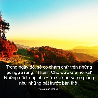 Picture 03 - Xê-ca-ri-a 14:20 VIE - Trong ngày đó, sẽ có chạm chữ trên - Bible Verse Picture