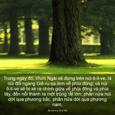 Picture 03 - Xê-ca-ri-a 14:4 VIE - Trong ngày đó, chơn Ngài sẽ đứng trên - Bible Verse Picture