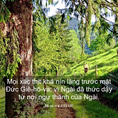 Picture 03 - Xê-ca-ri-a 2:13 VIE - Mọi xác thịt khá nín lặng trước mặt - Bible Verse Picture