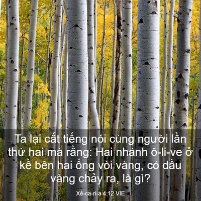 Picture 03 - Xê-ca-ri-a 4:12 VIE - Ta lại cất tiếng nói cùng người lần - Bible Verse Picture