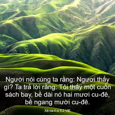 Picture 03 - Xê-ca-ri-a 5:2 VIE - Người nói cùng ta rằng: Ngươi thấy - Bible Verse Picture