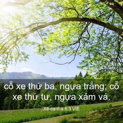 Picture 03 - Xê-ca-ri-a 6:3 VIE - cỗ xe thứ ba, ngựa trắng; cỗ xe thứ - Bible Verse Picture