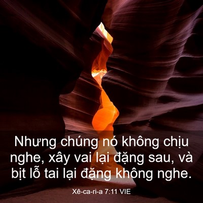 Picture 03 - Xê-ca-ri-a 7:11 VIE - Nhưng chúng nó không chịu nghe, xây vai - Bible Verse Picture