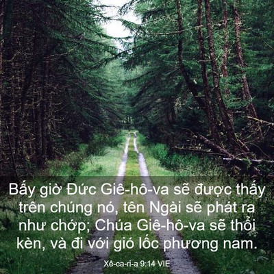 Picture 03 - Xê-ca-ri-a 9:14 VIE - Bấy giờ Đức Giê-hô-va sẽ được - Bible Verse Picture