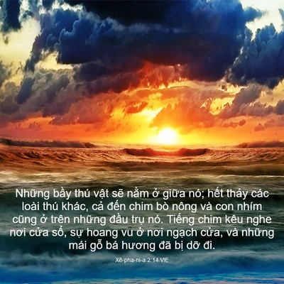 Picture 03 - Xê-pha-ni-a 2:14 VIE - Những bầy thú vật sẽ nằm ở giữa - Bible Verse Picture