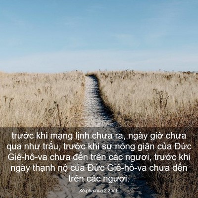 Picture 03 - Xê-pha-ni-a 2:2 VIE - trước khi mạng lịnh chưa ra, ngày giờ - Bible Verse Picture