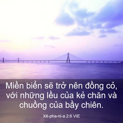 Picture 03 - Xê-pha-ni-a 2:6 VIE - Miền biển sẽ trở nên đồng cỏ, với - Bible Verse Picture
