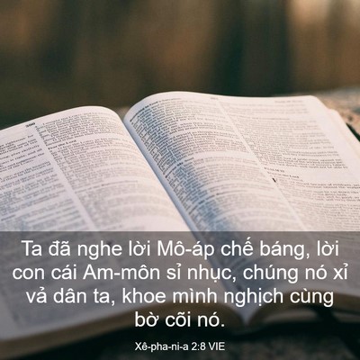 Picture 03 - Xê-pha-ni-a 2:8 VIE - Ta đã nghe lời Mô-áp chế báng, lời con - Bible Verse Picture