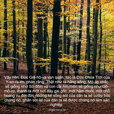 Picture 03 - Xê-pha-ni-a 2:9 VIE - Vậy nên, Đức Giê-hô-va vạn quân, tức - Bible Verse Picture