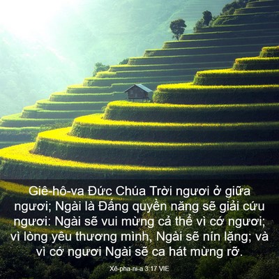 Picture 03 - Xê-pha-ni-a 3:17 VIE - Giê-hô-va Đức Chúa Trời ngươi ở - Bible Verse Picture