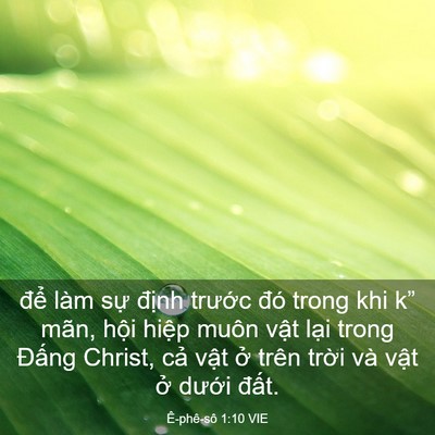 Picture 03 - Ê-phê-sô 1:10 VIE - để làm sự định trước đó trong khi - Bible Verse Picture