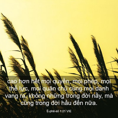 Picture 03 - Ê-phê-sô 1:21 VIE - cao hơn hết mọi quyền, mọi phép, mọi - Bible Verse Picture