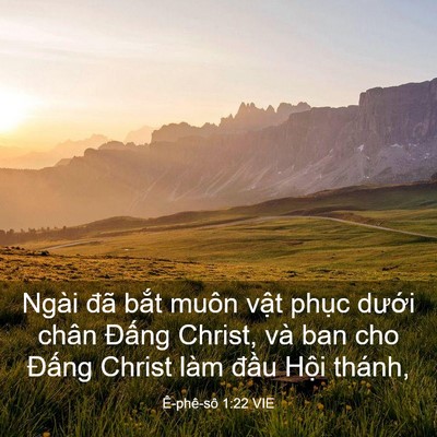 Picture 03 - Ê-phê-sô 1:22 VIE - Ngài đã bắt muôn vật phục dưới chân - Bible Verse Picture