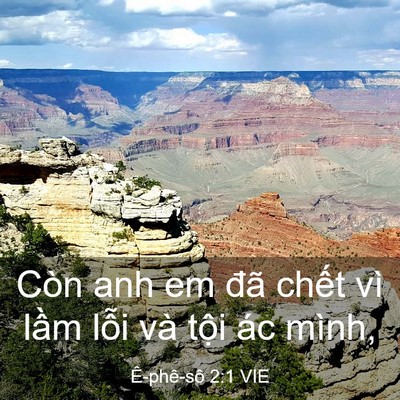 Picture 03 - Ê-phê-sô 2:1 VIE - Còn anh em đã chết vì lầm lỗi và tội - Bible Verse Picture