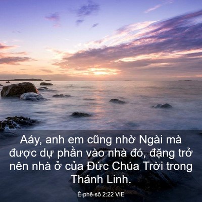 Picture 03 - Ê-phê-sô 2:22 VIE - Aáy, anh em cũng nhờ Ngài mà được dự - Bible Verse Picture