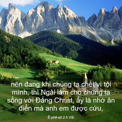 Picture 03 - Ê-phê-sô 2:5 VIE - nên đang khi chúng ta chết vì tội mình, - Bible Verse Picture