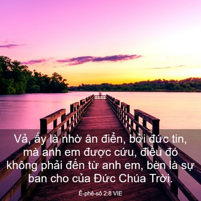 Picture 03 - Ê-phê-sô 2:8 VIE - Vả, ấy là nhờ ân điển, bởi đức - Bible Verse Picture