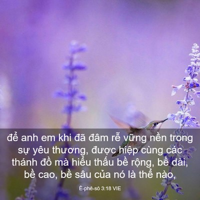 Picture 03 - Ê-phê-sô 3:18 VIE - để anh em khi đã đâm rễ vững nền - Bible Verse Picture