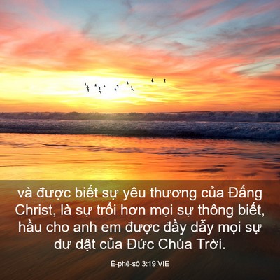 Picture 03 - Ê-phê-sô 3:19 VIE - và được biết sự yêu thương của - Bible Verse Picture