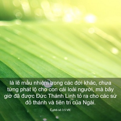 Picture 03 - Ê-phê-sô 3:5 VIE - là lẽ mầu nhiệm trong các đời khác, - Bible Verse Picture