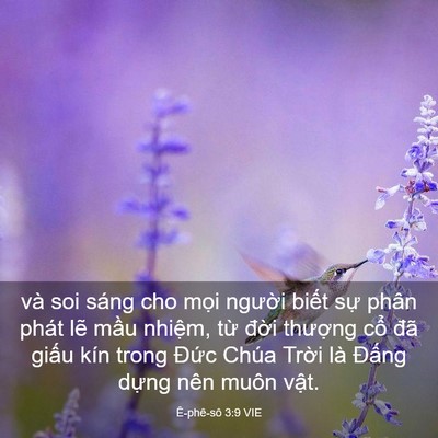 Picture 03 - Ê-phê-sô 3:9 VIE - và soi sáng cho mọi người biết sự - Bible Verse Picture