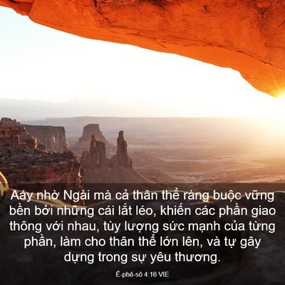 Picture 03 - Ê-phê-sô 4:16 VIE - Aáy nhờ Ngài mà cả thân thể ràng - Bible Verse Picture