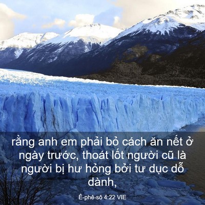 Picture 03 - Ê-phê-sô 4:22 VIE - rằng anh em phải bỏ cách ăn nết ở - Bible Verse Picture