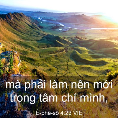 Picture 03 - Ê-phê-sô 4:23 VIE - mà phải làm nên mới trong tâm chí - Bible Verse Picture