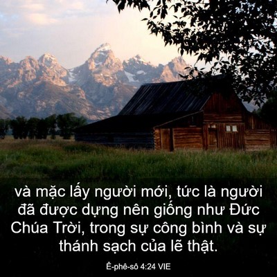 Picture 03 - Ê-phê-sô 4:24 VIE - và mặc lấy người mới, tức là - Bible Verse Picture