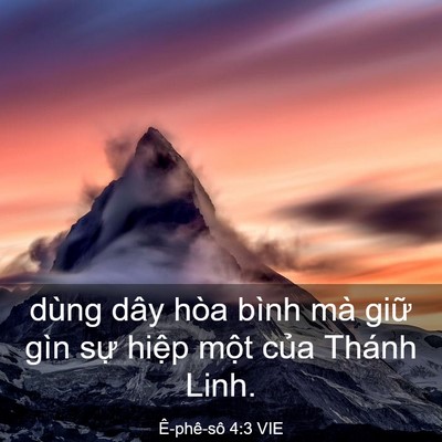 Picture 03 - Ê-phê-sô 4:3 VIE - dùng dây hòa bình mà giữ gìn sự hiệp - Bible Verse Picture