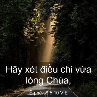 Picture 03 - Ê-phê-sô 5:10 VIE - Hãy xét điều chi vừa lòng - Bible Verse Picture