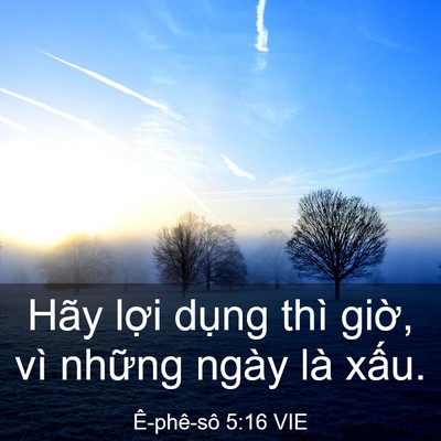 Picture 03 - Ê-phê-sô 5:16 VIE - Hãy lợi dụng thì giờ, vì những ngày - Bible Verse Picture
