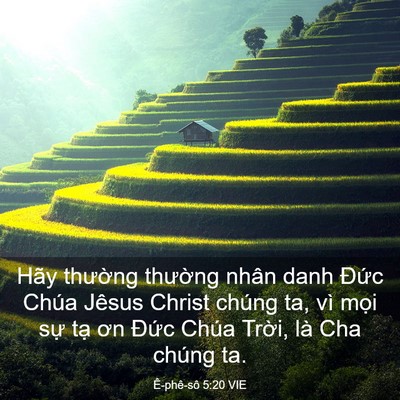 Picture 03 - Ê-phê-sô 5:20 VIE - Hãy thường thường nhân danh Đức Chúa - Bible Verse Picture