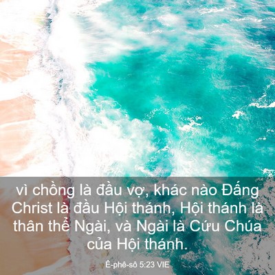 Picture 03 - Ê-phê-sô 5:23 VIE - vì chồng là đầu vợ, khác nào Đấng - Bible Verse Picture