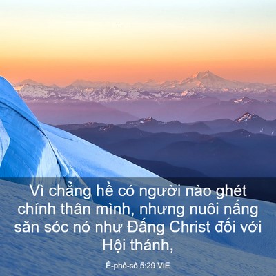 Picture 03 - Ê-phê-sô 5:29 VIE - Vì chẳng hề có người nào ghét chính - Bible Verse Picture