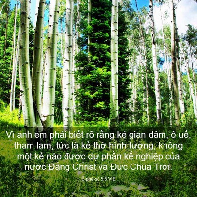 Picture 03 - Ê-phê-sô 5:5 VIE - Vì anh em phải biết rõ rằng kẻ gian - Bible Verse Picture