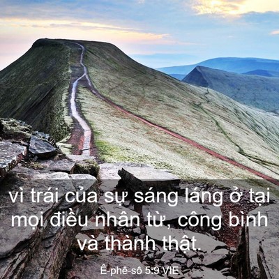 Picture 03 - Ê-phê-sô 5:9 VIE - vì trái của sự sáng láng ở tại mọi - Bible Verse Picture