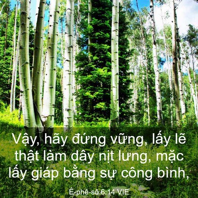 Picture 03 - Ê-phê-sô 6:14 VIE - Vậy, hãy đứng vững, lấy lẽ thật - Bible Verse Picture