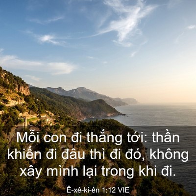 Picture 03 - Ê-xê-ki-ên 1:12 VIE - Mỗi con đi thẳng tới: thần khiến đi - Bible Verse Picture