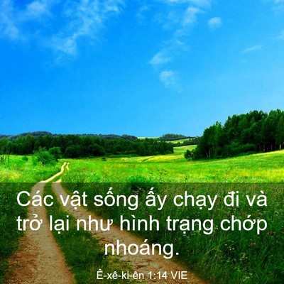 Picture 03 - Ê-xê-ki-ên 1:14 VIE - Các vật sống ấy chạy đi và trở lại - Bible Verse Picture