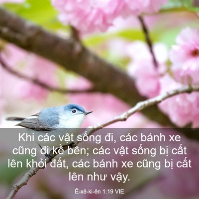 Picture 03 - Ê-xê-ki-ên 1:19 VIE - Khi các vật sống đi, các bánh xe cũng - Bible Verse Picture