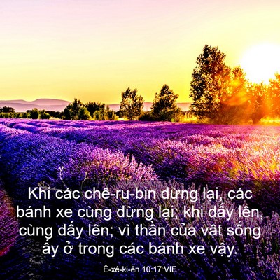 Picture 03 - Ê-xê-ki-ên 10:17 VIE - Khi các chê-ru-bin dừng lại, các bánh xe - Bible Verse Picture