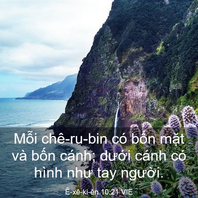 Picture 03 - Ê-xê-ki-ên 10:21 VIE - Mỗi chê-ru-bin có bốn mặt và bốn - Bible Verse Picture
